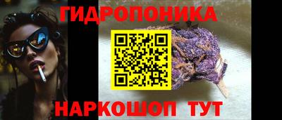 a pvp Ирбит