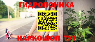 Альфа ПВП Заводоуковск