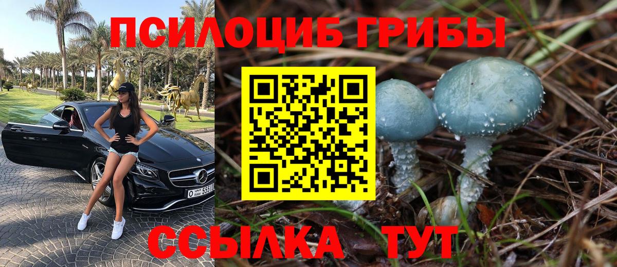 Псилоцибиновые грибы прущие грибы  Вход с VPN  Людиново 