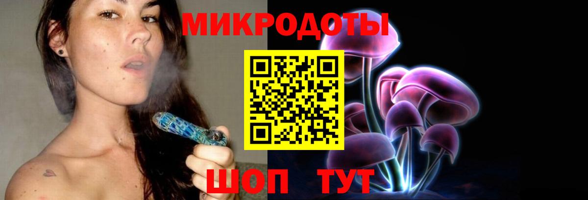 Галлюциногенные грибы Psilocybe Людиново